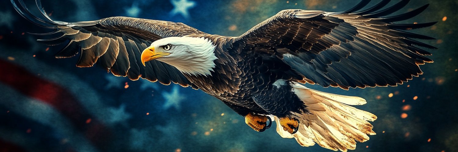 mjustus's profile banner image