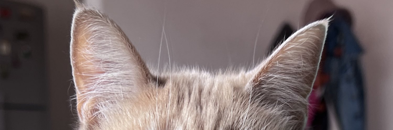 beccatriz's profile banner image
