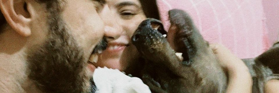 raffsteixeira's profile banner image