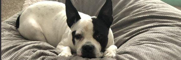 Christian Suarez⭐⭐⭐ banner