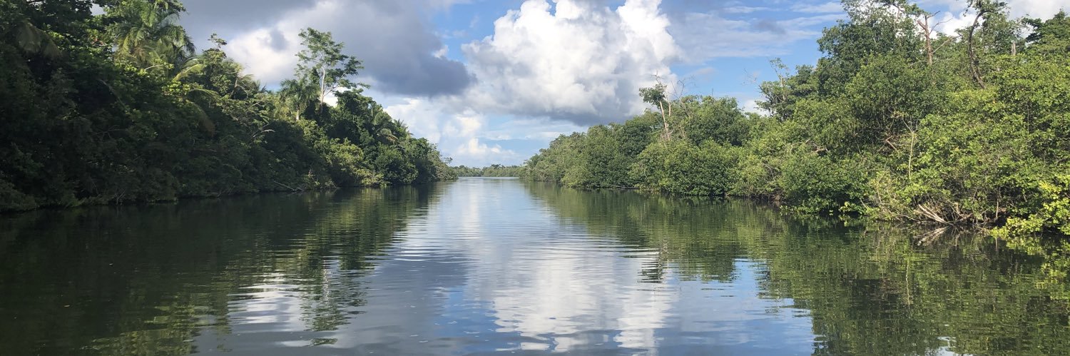 Christine Webb (she/her) banner