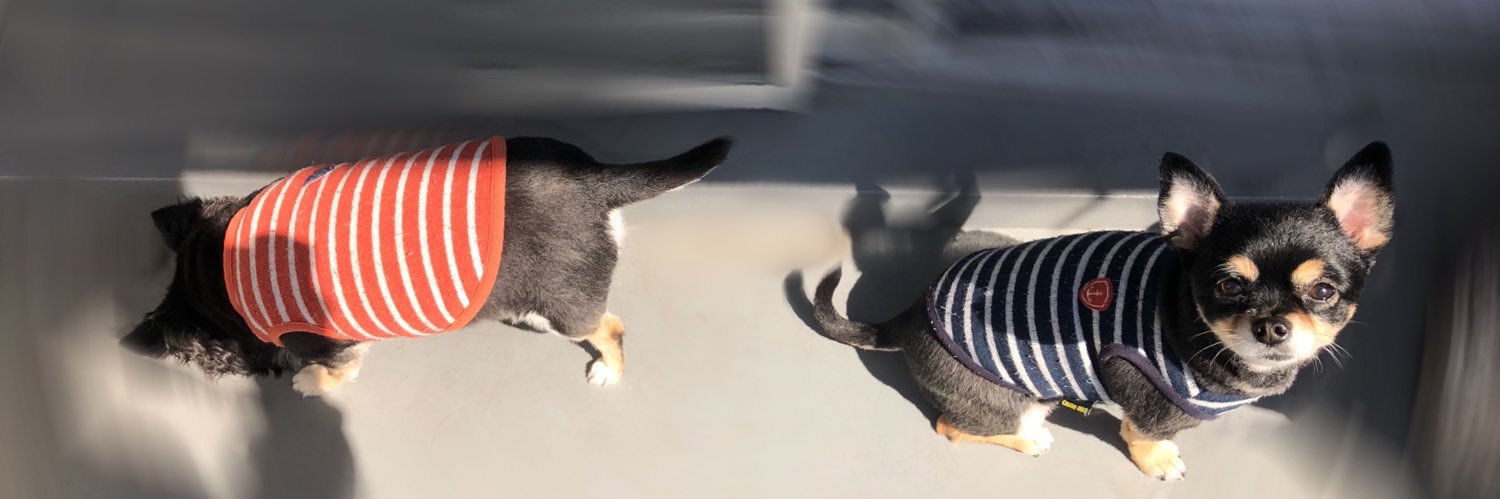 rao_pon's profile banner image