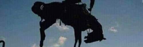 capitalist_z's profile banner image