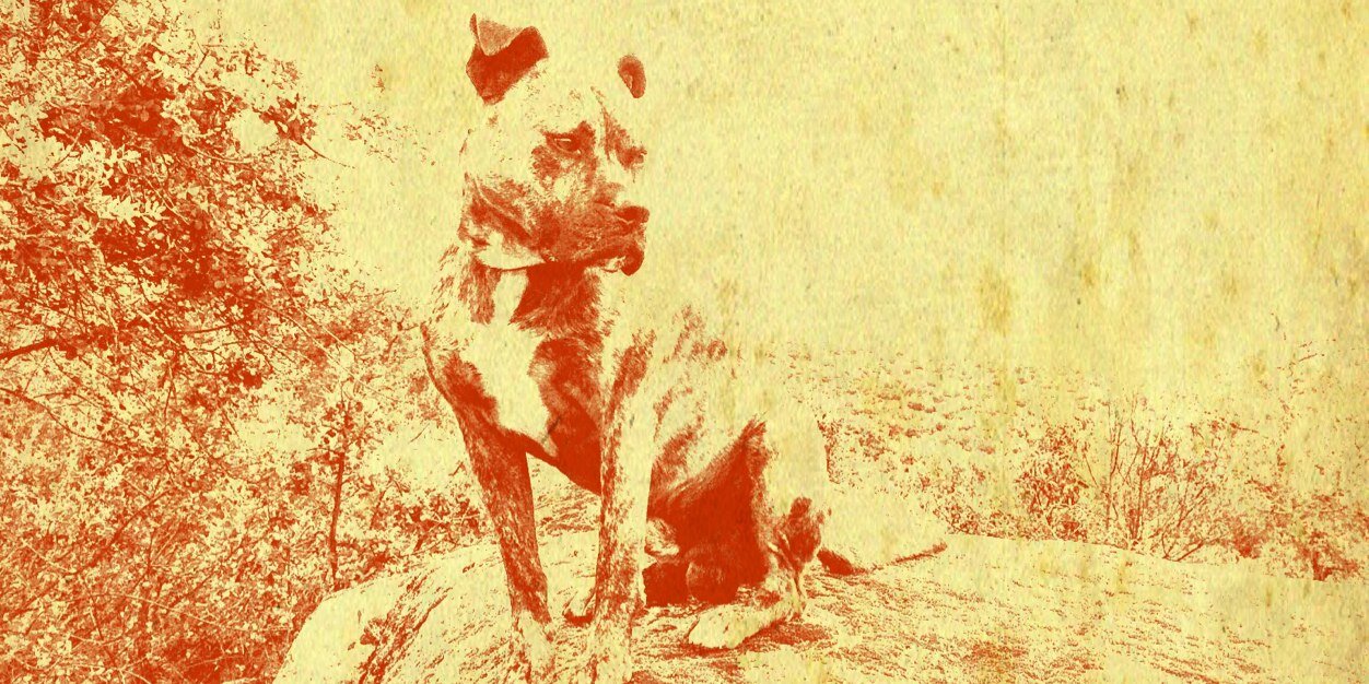 528aaron's profile banner image