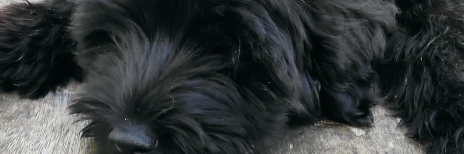 jsanst's profile banner image