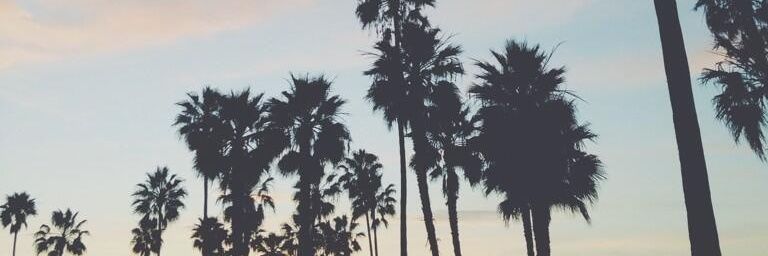 seredebiasi's profile banner image