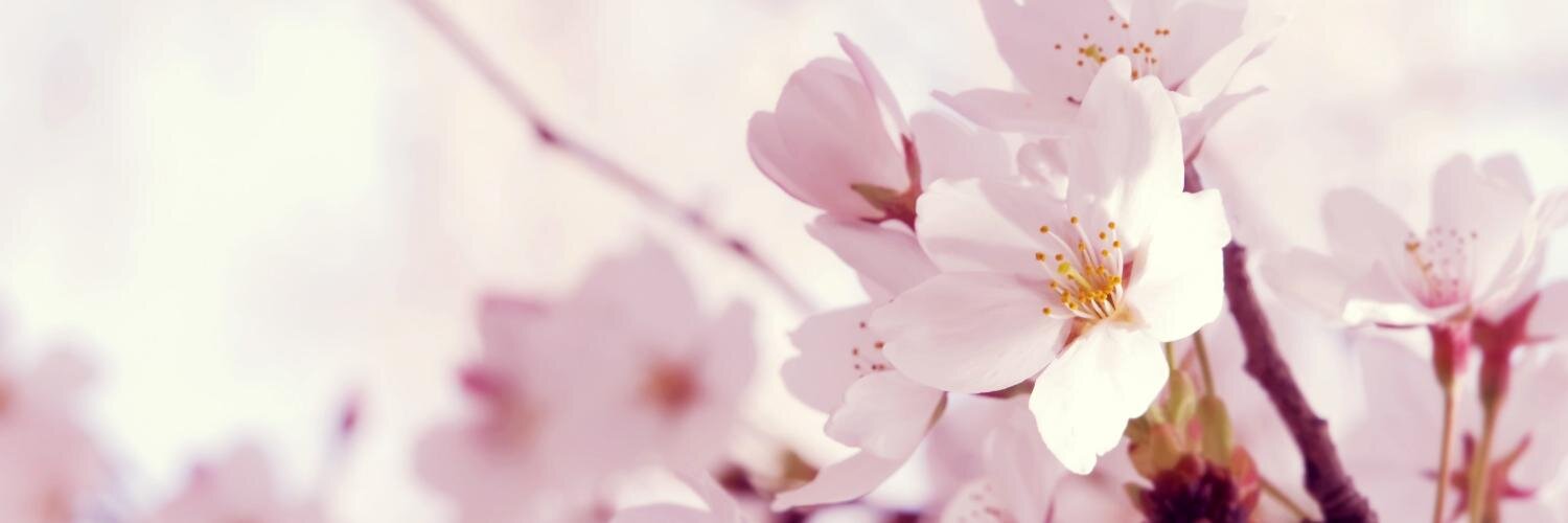 RoroGerardi's profile banner image