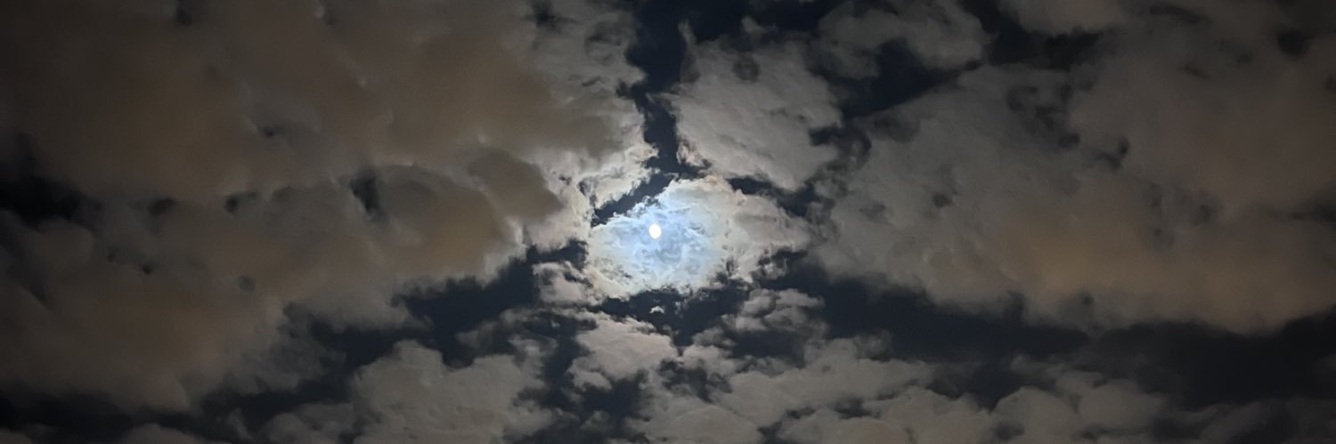 AlexiisNeo's profile banner image