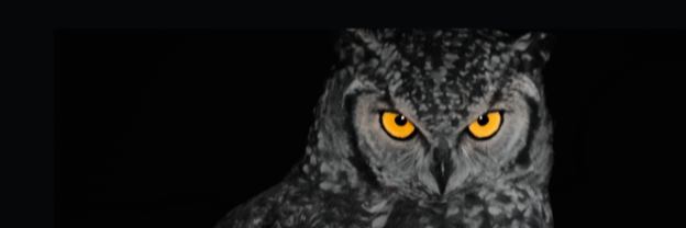 WInstruments's profile banner image