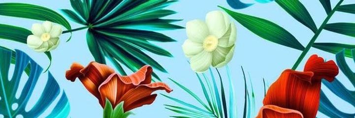 gimenacano's profile banner image
