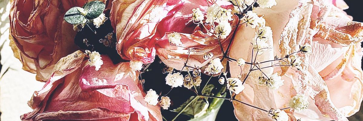 Ninerboy81's profile banner image