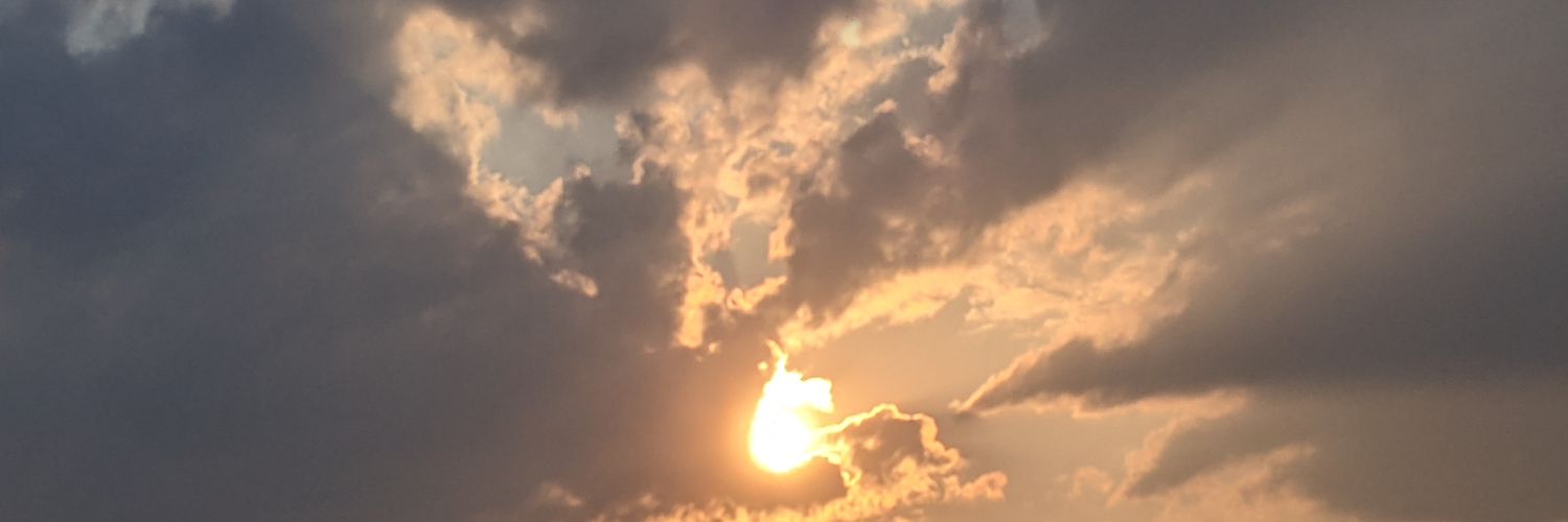 dawndevito's profile banner image