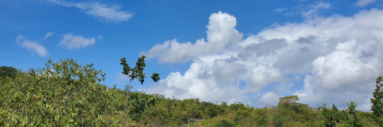 Freckle_Don's profile banner image