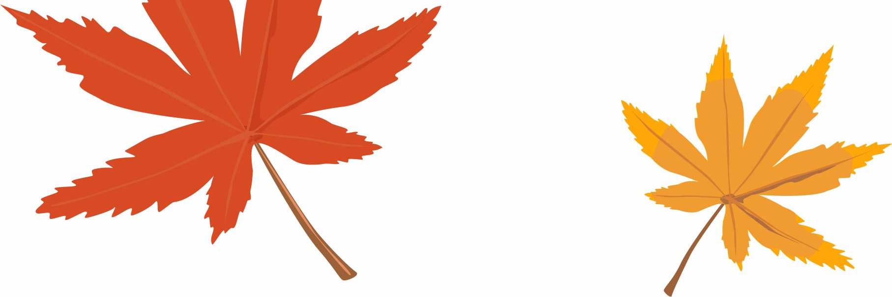 rico_io's profile banner image