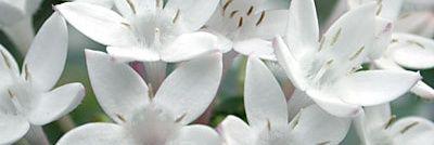 _uu107's profile banner image