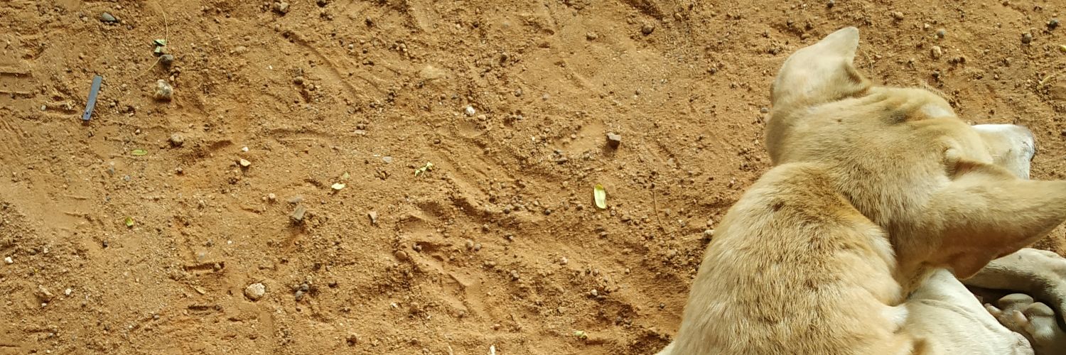 fanaddicted97's profile banner image