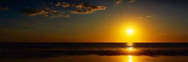 priscillafaia Profile Banner