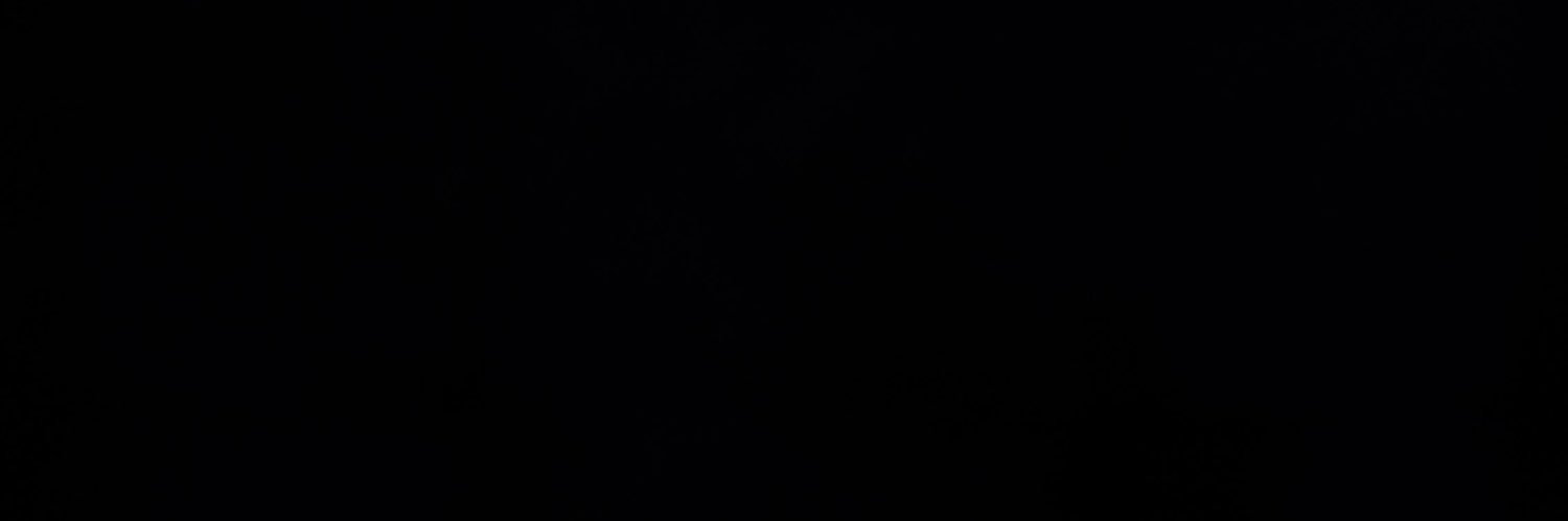 🐷👑 banner