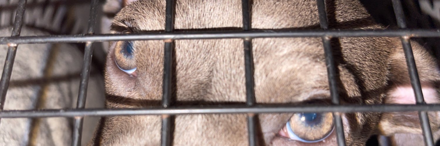 jacobreyes5's profile banner image