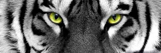 round2_doug's profile banner image