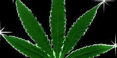 Sanjeev_Shane's profile banner image