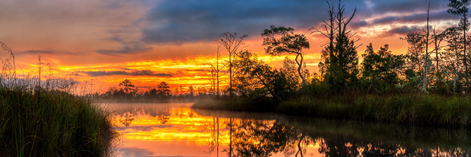 HahnNaturePhoto's profile banner image