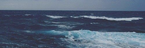dasha__zai's profile banner image