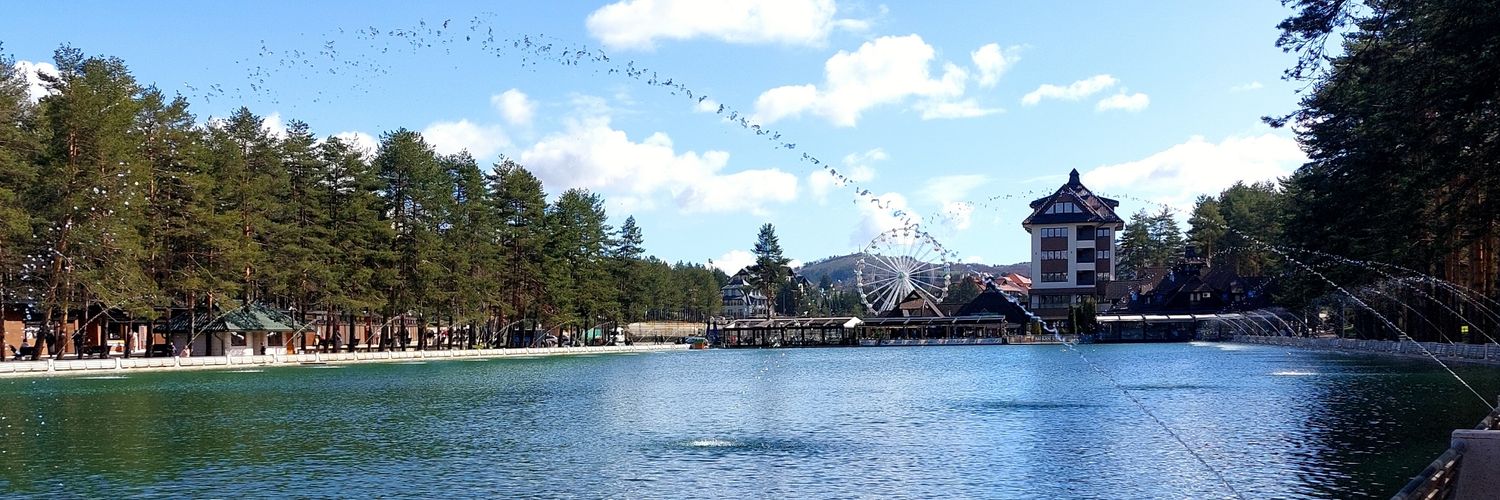 Đorđe Petrović banner