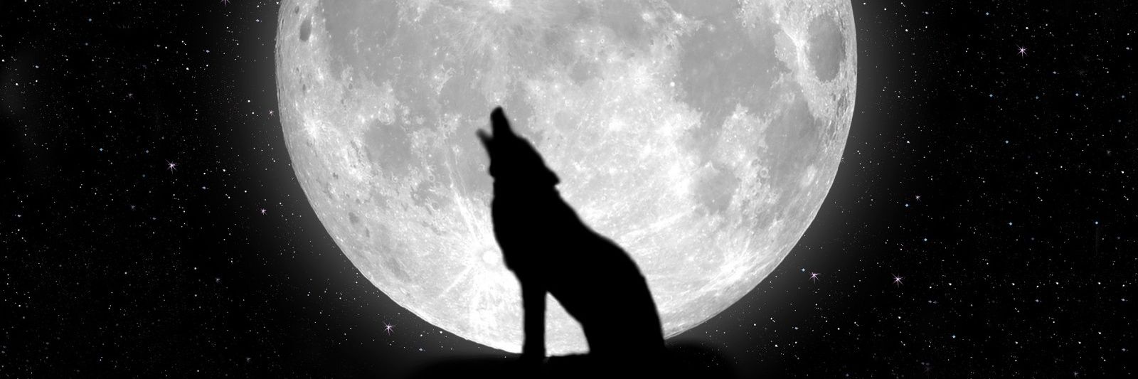maxmilzz's profile banner image