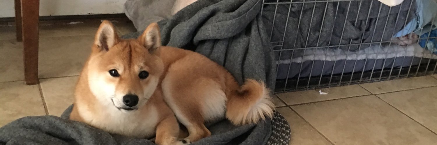 George Kostal banner