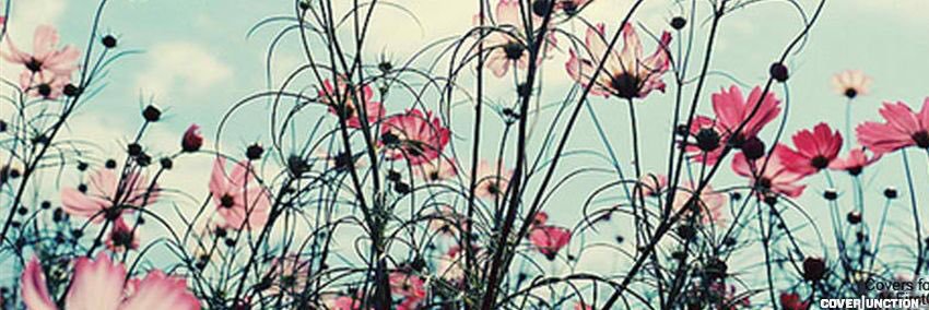 CrystalOR's profile banner image