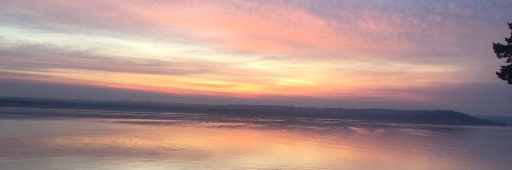 DedraBeauty's profile banner image