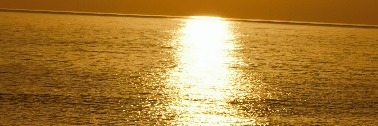 maaha1435's profile banner image