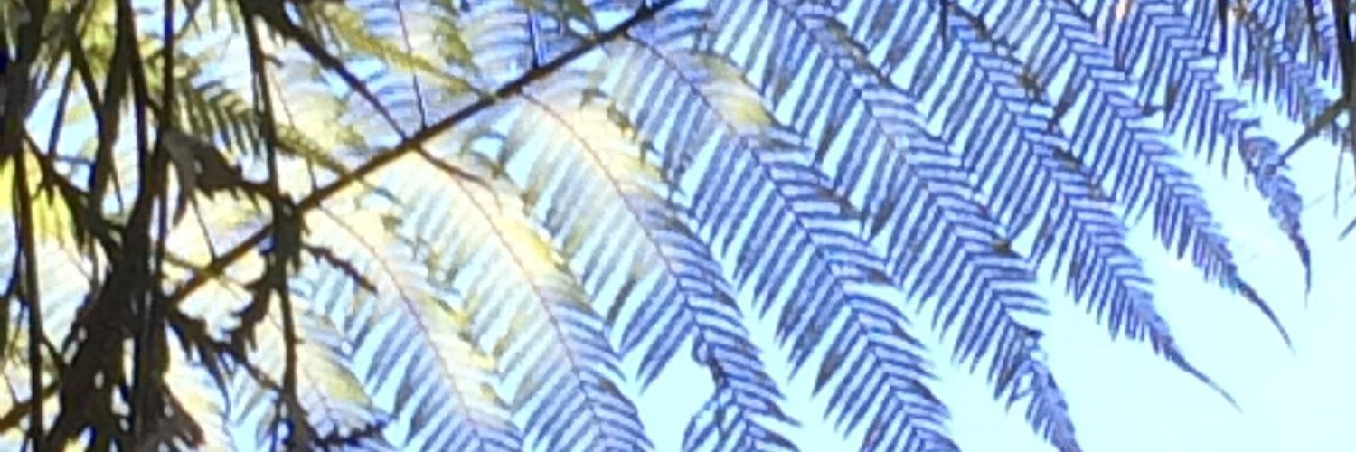 Xeronema's profile banner image