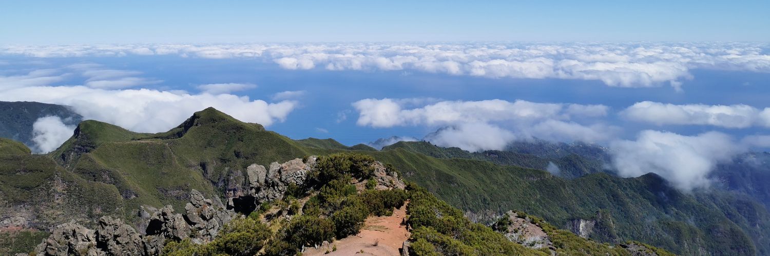 Matt Herbert-Jones banner