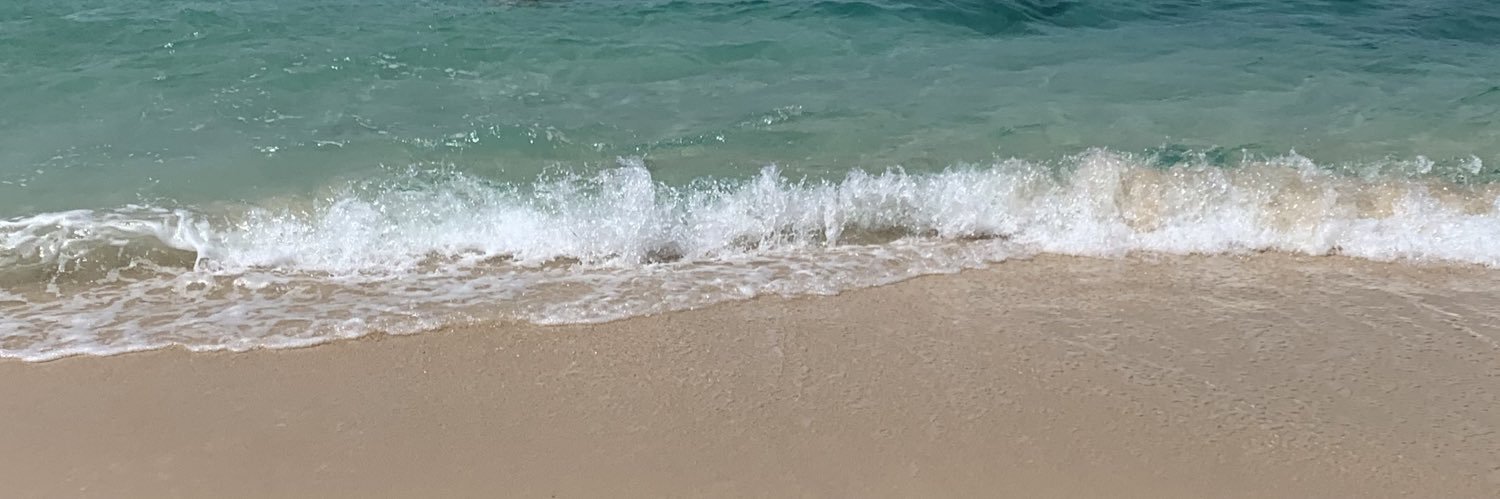 NPrez2's profile banner image