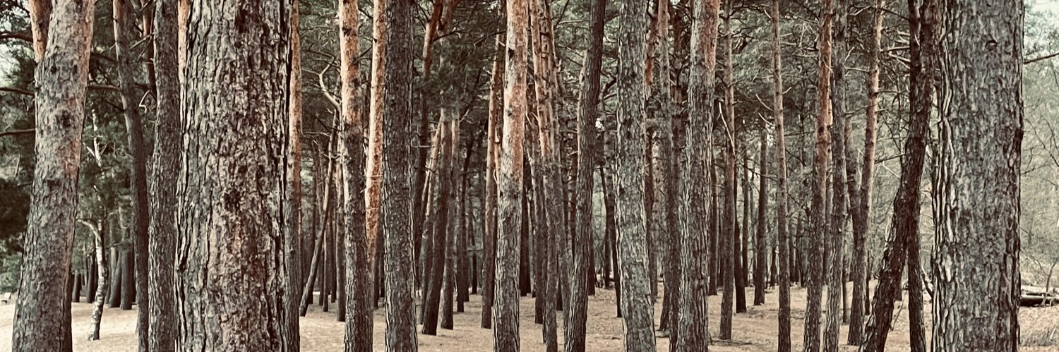 PatrickVerdoorn's profile banner image