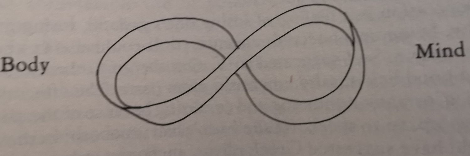 yam banner