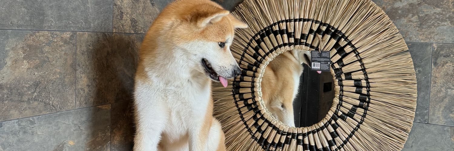 татарин из уфы banner