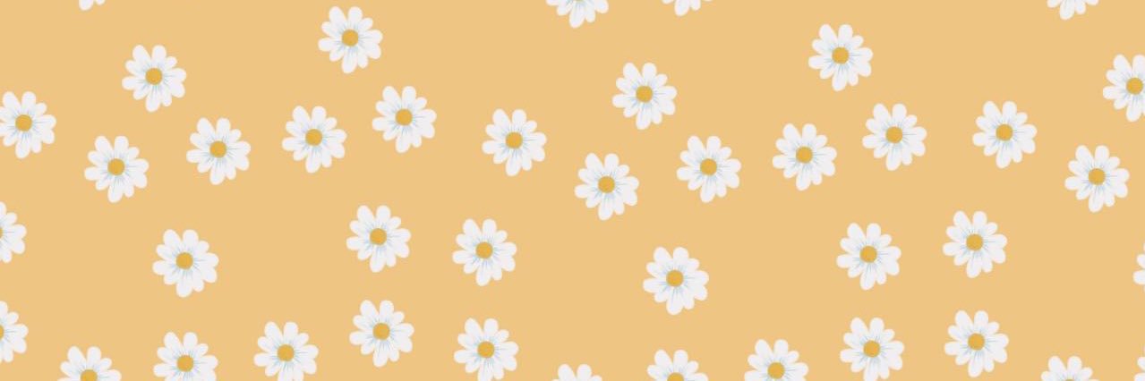 camila banner