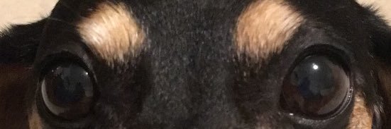 greglogo's profile banner image