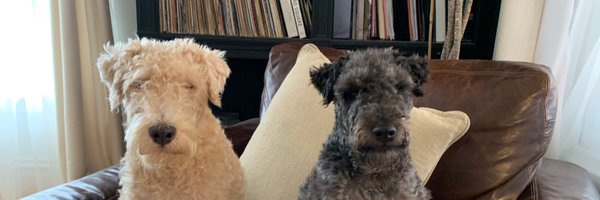 CDMatthewMurphy Profile Banner