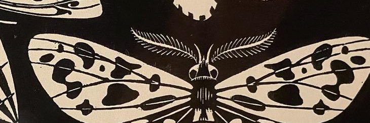 mimfly's profile banner image