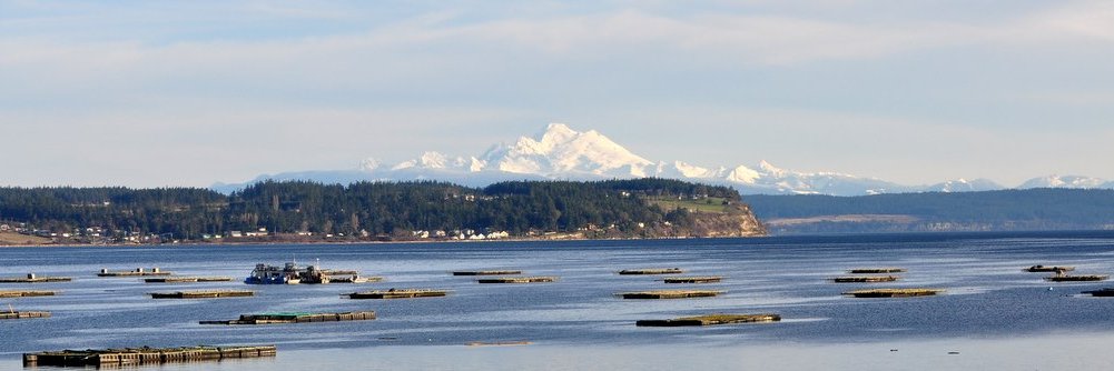 PennCove's profile banner image