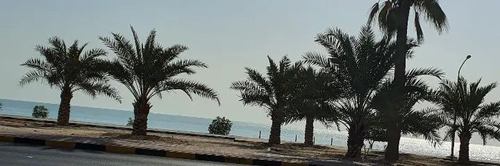 MR_WAELO's profile banner image