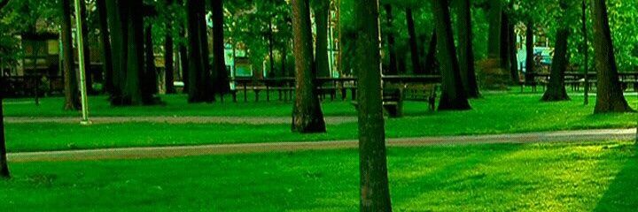 Erayobarry's profile banner image