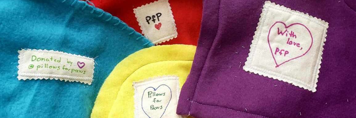 Pillows for Paws banner