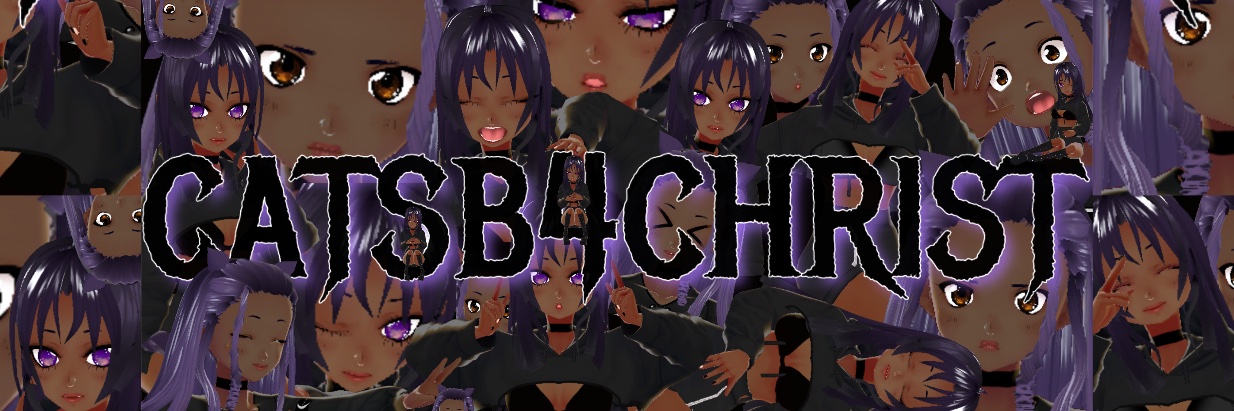 catsb4christ's profile banner image