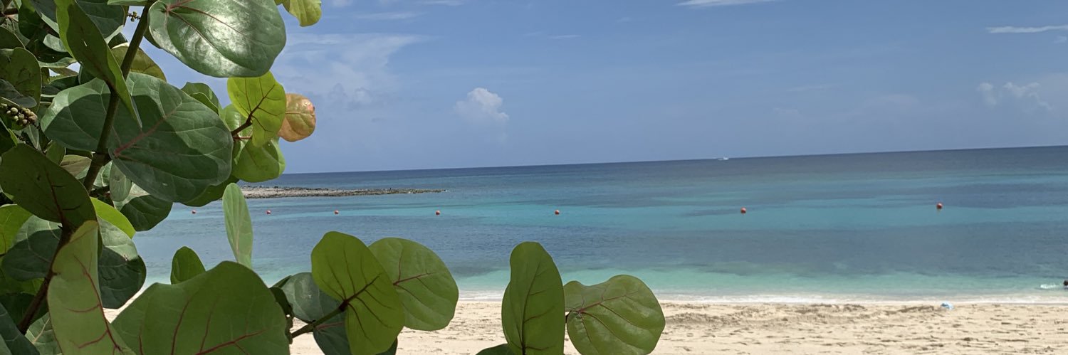 AmandaShero's profile banner image