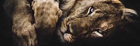 jamaldeenibr's profile banner image